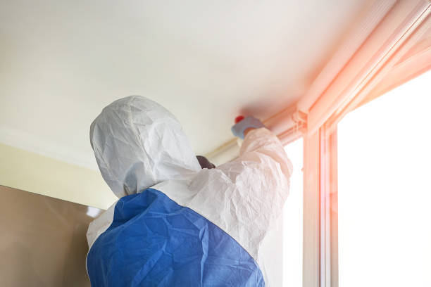 Mold Documentation for Insurance Claims